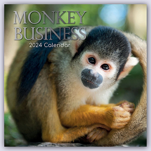 Monkey Business 2024 - 16-Monatskalender, The Gifted Stationery Co. Ltd