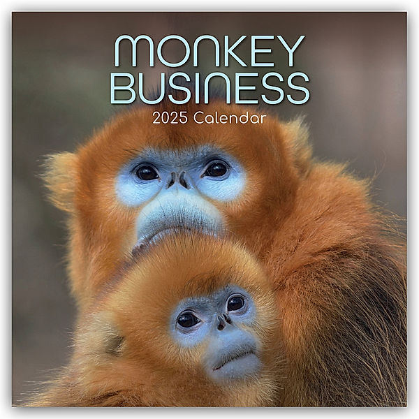 Monkey Business 2025 - 16-Monatskalender, The Gifted Stationery Co. Ltd