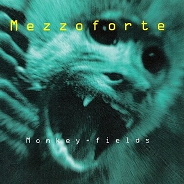 Monkey Fields, Mezzoforte