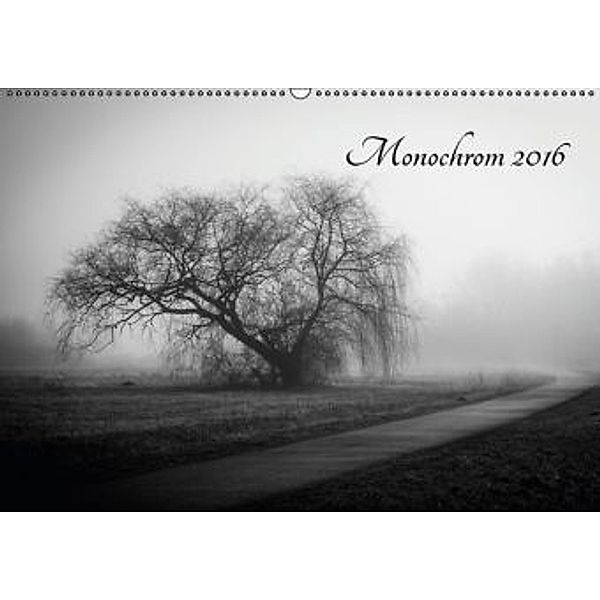 Monochrom 2016 (Wandkalender 2016 DIN A2 quer), Alexander Pfeiffer