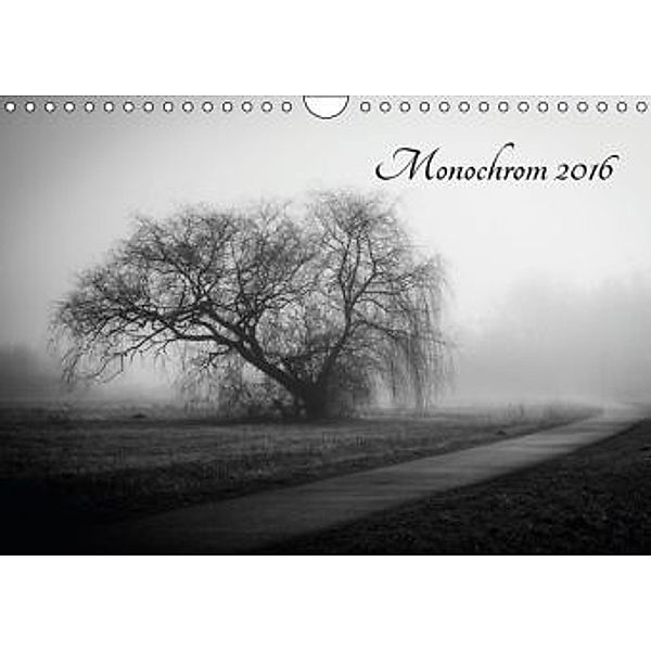 Monochrom 2016 (Wandkalender 2016 DIN A4 quer), Alexander Pfeiffer