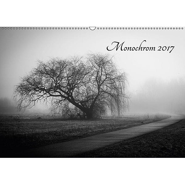 Monochrom 2017 (Wandkalender 2017 DIN A2 quer), Alexander Pfeiffer