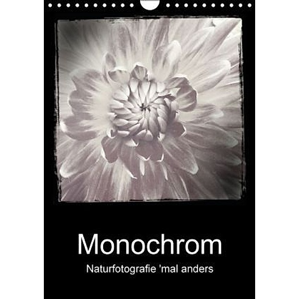 Monochrom (Wandkalender 2016 DIN A4 hoch), Kristin Möller