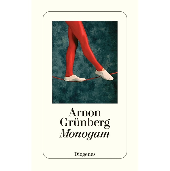 Monogam / Diogenes Taschenbücher, Arnon Grünberg