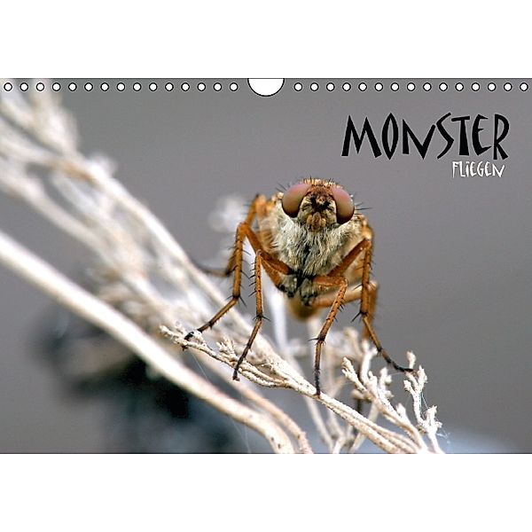 MONSTER - FLIEGEN (Wandkalender 2014 DIN A4 quer), Wolfgang Brandmeier