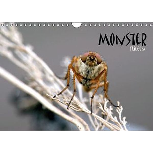 MONSTER - FLIEGEN (Wandkalender 2016 DIN A4 quer), Wolfgang Brandmeier