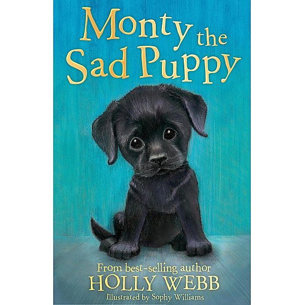 Monty the Sad Puppy / Holly Webb Animal Stories Bd.35, Holly Webb