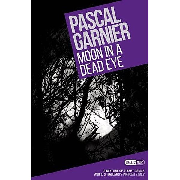 Moon in a Dead Eye: Shocking, hilarious and poignant noir, Pascal Garnier