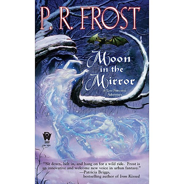 Moon In The Mirror / Tess Noncoire Adventure Bd.2, P. R. Frost