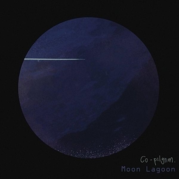 Moon Lagoon (Vinyl), Co-Pilgrim