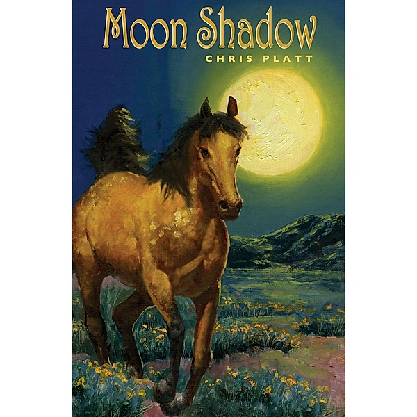 Moon Shadow, Chris Platt