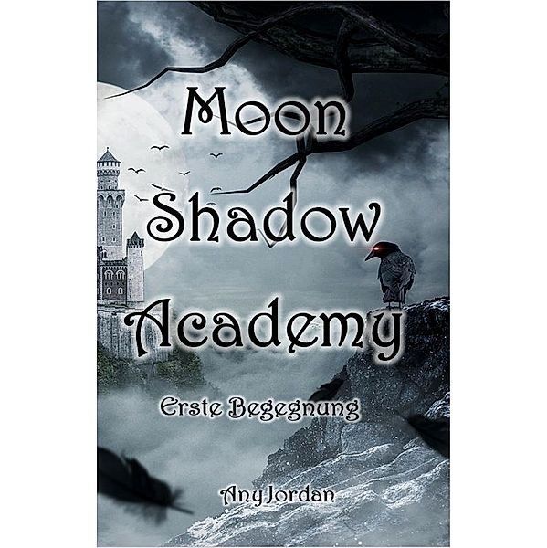 Moon Shadow Academy / Moon-Reihe Bd.1, Any Jordan