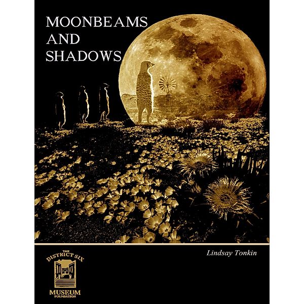 Moonbeams and Shadows, Lindsay Tonkin