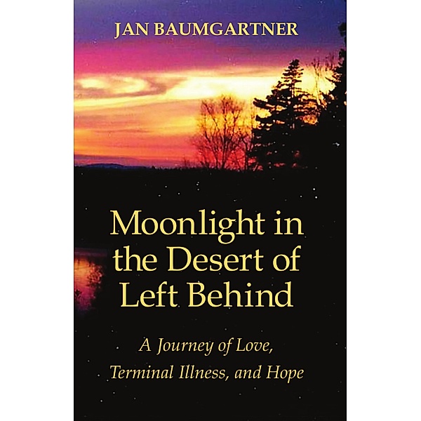Moonlight in the Desert of Left Behind / Jan Baumgartner, Jan Baumgartner