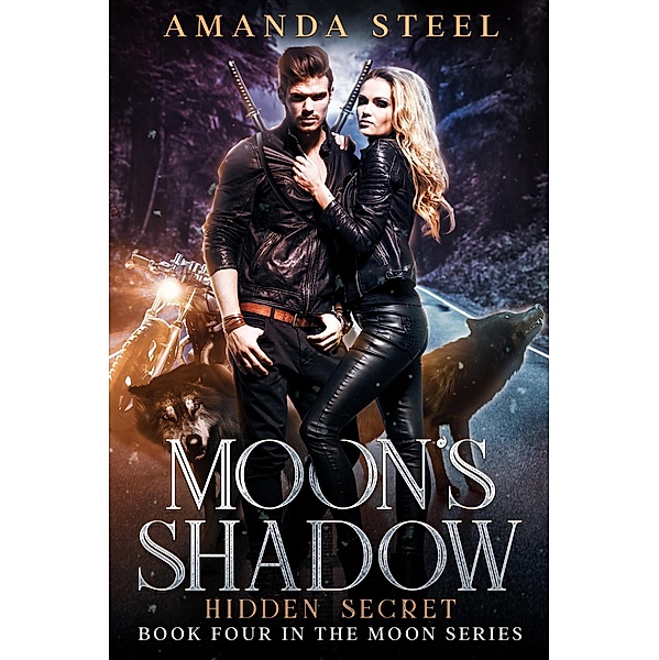 Moon's Shadow: Hidden Secret (Moon Series, #4) / Moon Series, Amanda Steel