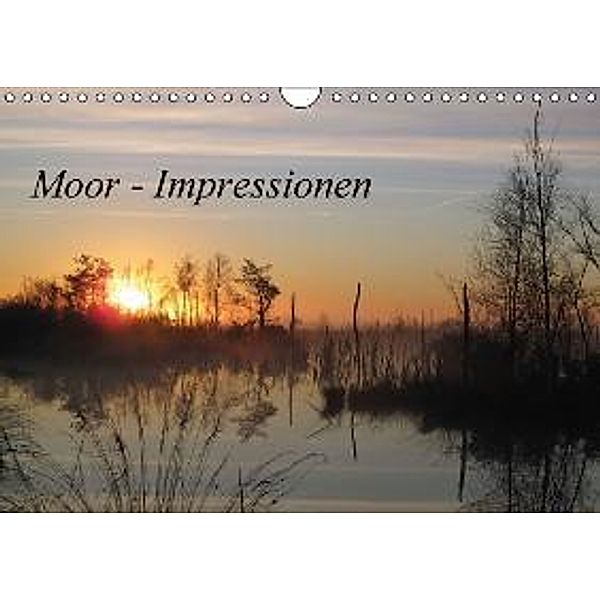 Moor - Impressionen (Wandkalender 2016 DIN A4 quer), Antje Rehmstedt