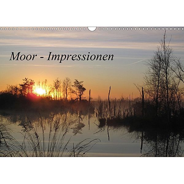 Moor - Impressionen (Wandkalender 2021 DIN A3 quer), Antje Rehmstedt