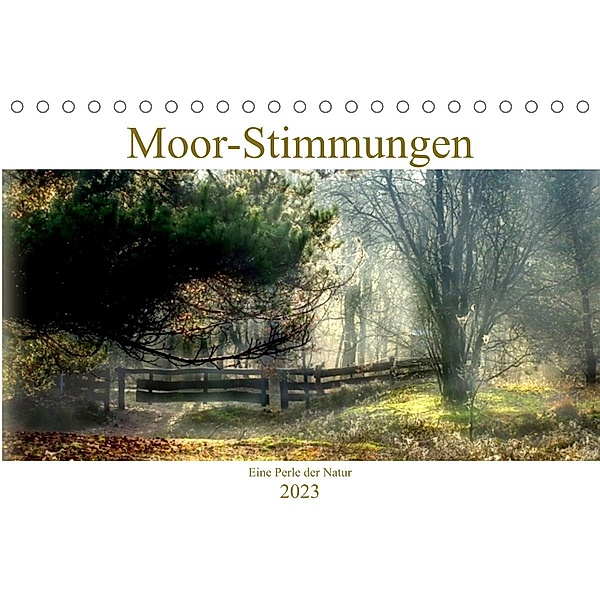 Moor-Stimmungen (Tischkalender 2023 DIN A5 quer), Vera Laake