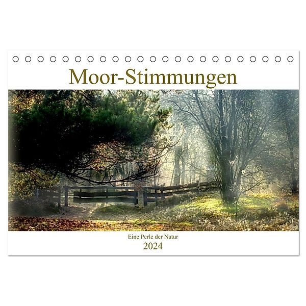 Moor-Stimmungen (Tischkalender 2024 DIN A5 quer), CALVENDO Monatskalender, Vera Laake