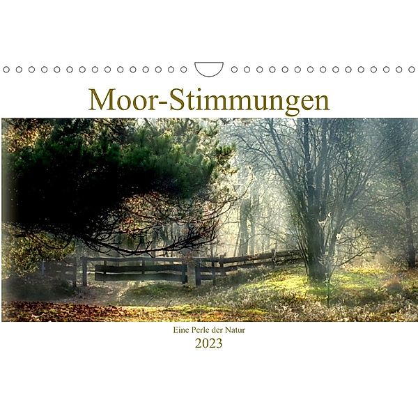 Moor-Stimmungen (Wandkalender 2023 DIN A4 quer), Vera Laake