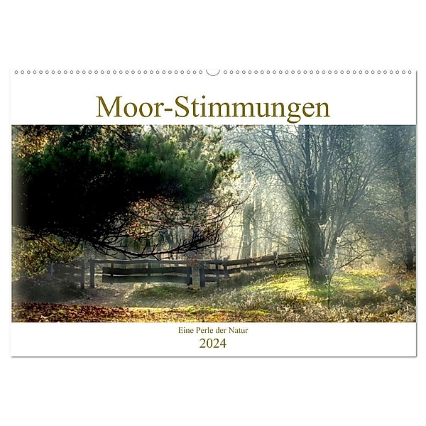 Moor-Stimmungen (Wandkalender 2024 DIN A2 quer), CALVENDO Monatskalender, Vera Laake