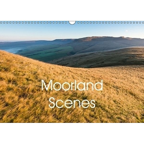 Moorland scenes (Wall Calendar 2017 DIN A3 Landscape), Andrew Kearton
