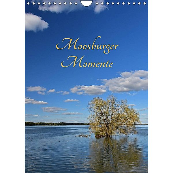 Moosburger Momente (Wandkalender 2023 DIN A4 hoch), Brigitte Deus-Neumann