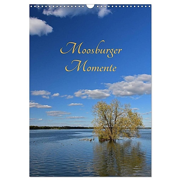 Moosburger Momente (Wandkalender 2024 DIN A3 hoch), CALVENDO Monatskalender, Brigitte Deus-Neumann