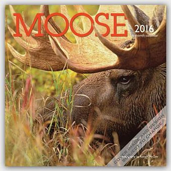 Moose 2016