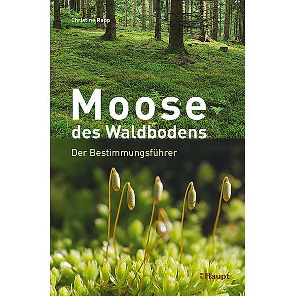 Moose des Waldbodens, Christine Rapp