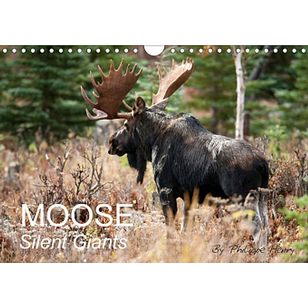 MOOSE / UK-Version (Wall Calendar 2021 DIN A4 Landscape), Philippe Henry