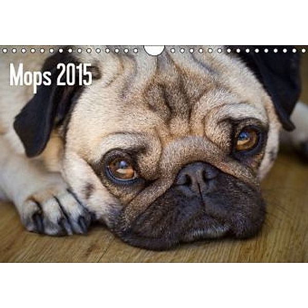 Mops 2015 (Wandkalender 2015 DIN A4 quer), Beate Zöllner