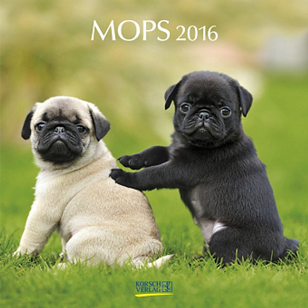 Mops 2016
