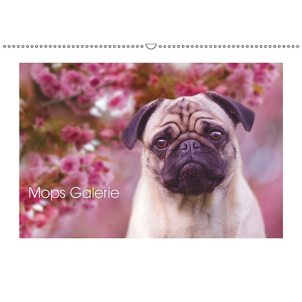 Mops Galerie (Wandkalender 2019 DIN A2 quer), Melanie Arendt