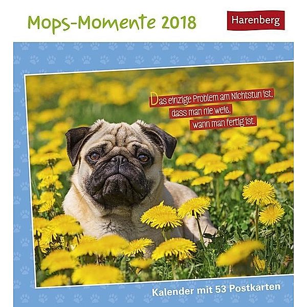 Mops-Momente 2018