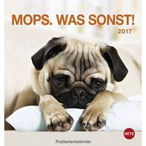 Mops Postkartenkalender 2017