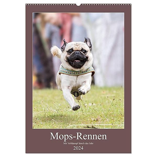 Mops-Rennen (Wandkalender 2024 DIN A2 hoch), CALVENDO Monatskalender, Sonja Tessen