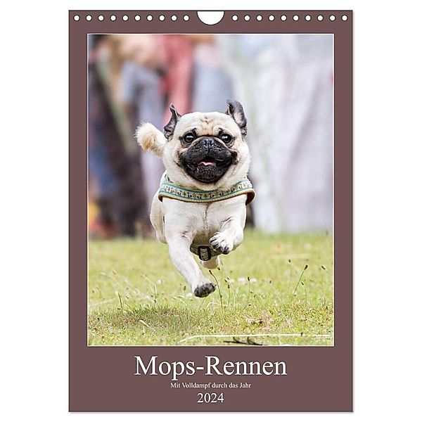 Mops-Rennen (Wandkalender 2024 DIN A4 hoch), CALVENDO Monatskalender, Sonja Teßen