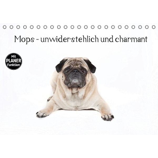 Mops - unwiderstehlich und charmant (Tischkalender 2016 DIN A5 quer), Verena Scholze