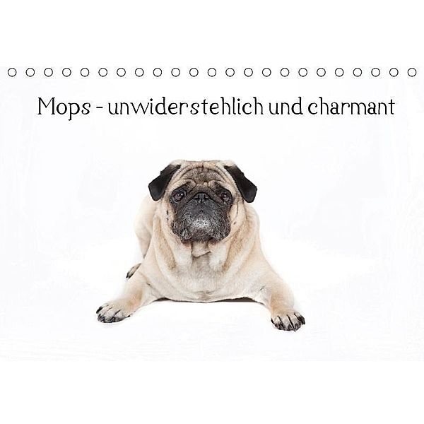 Mops - unwiderstehlich und charmant (Tischkalender 2017 DIN A5 quer), Verena Scholze, Fotodesign Verena Scholze