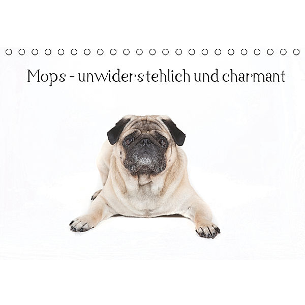 Mops - unwiderstehlich und charmant (Tischkalender 2019 DIN A5 quer), Verena Scholze