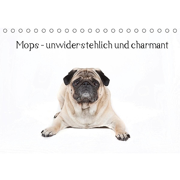 Mops - unwiderstehlich und charmant (Tischkalender 2020 DIN A5 quer), Verena Scholze