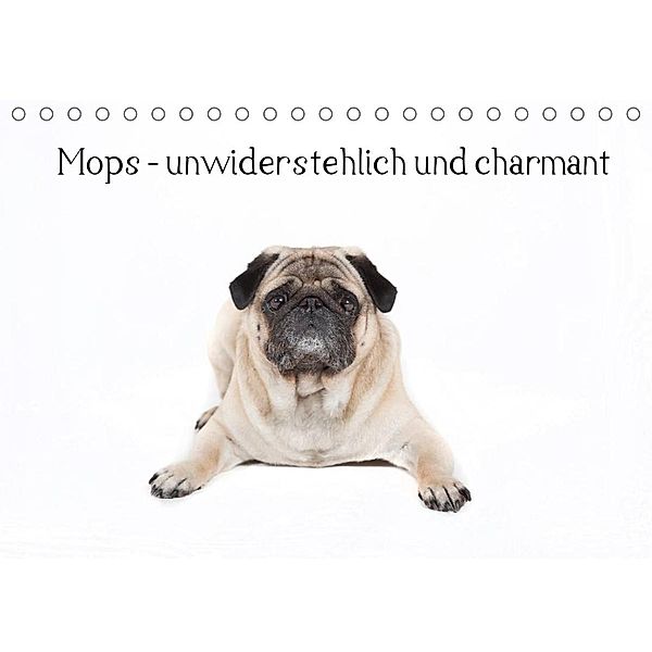 Mops - unwiderstehlich und charmant (Tischkalender 2023 DIN A5 quer), Fotodesign Verena Scholze