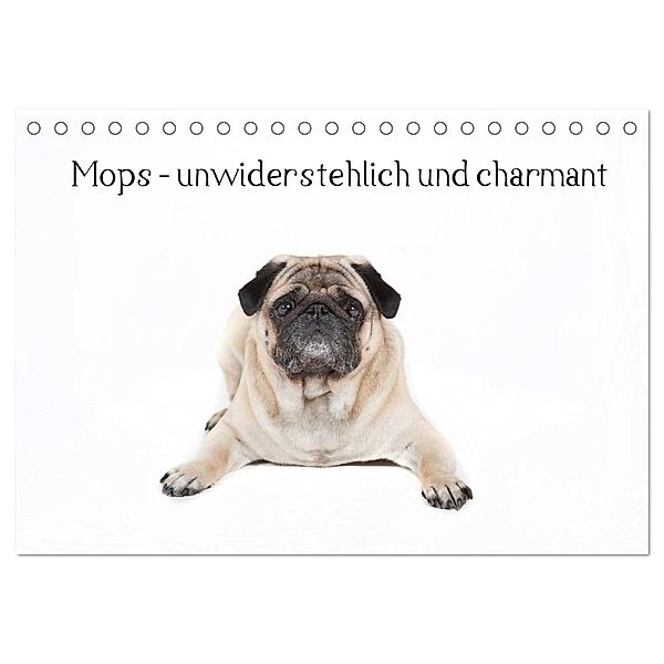 Mops - unwiderstehlich und charmant (Tischkalender 2024 DIN A5 quer), CALVENDO Monatskalender, Fotodesign Verena Scholze