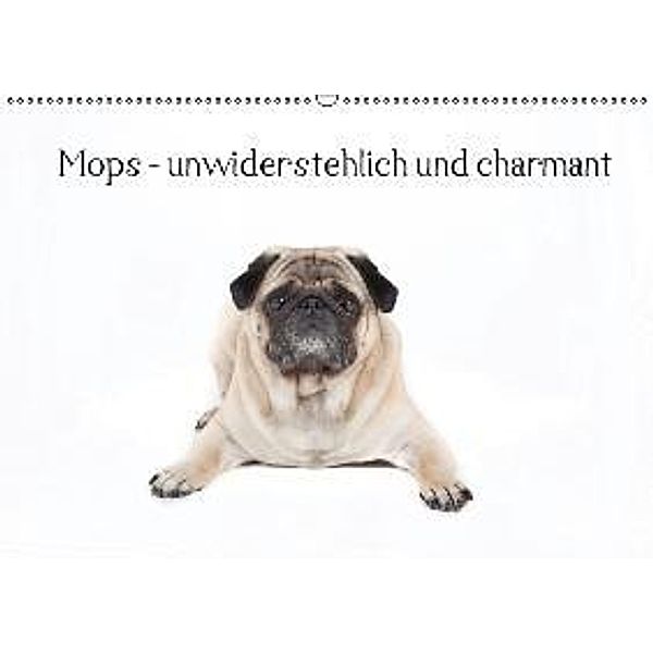 Mops - unwiderstehlich und charmant (Wandkalender 2016 DIN A2 quer), Verena Scholze