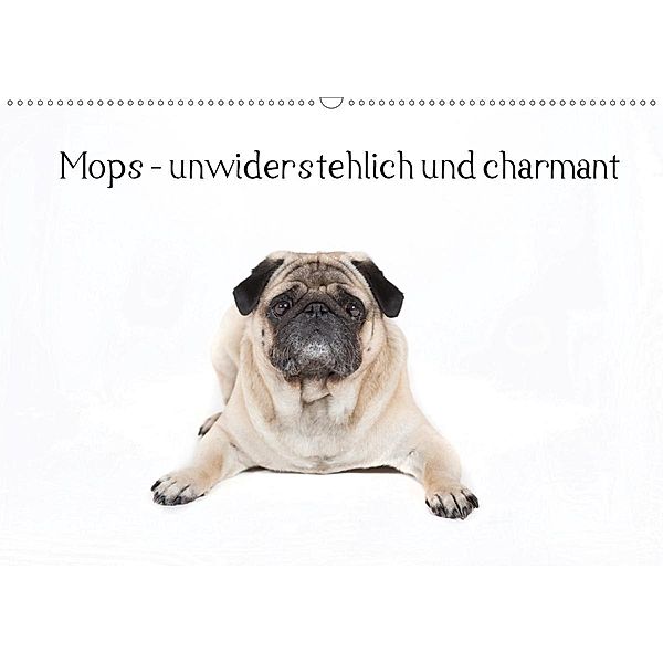 Mops - unwiderstehlich und charmant (Wandkalender 2020 DIN A2 quer), Verena Scholze