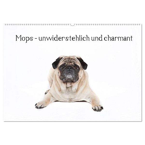 Mops - unwiderstehlich und charmant (Wandkalender 2024 DIN A2 quer), CALVENDO Monatskalender, Fotodesign Verena Scholze