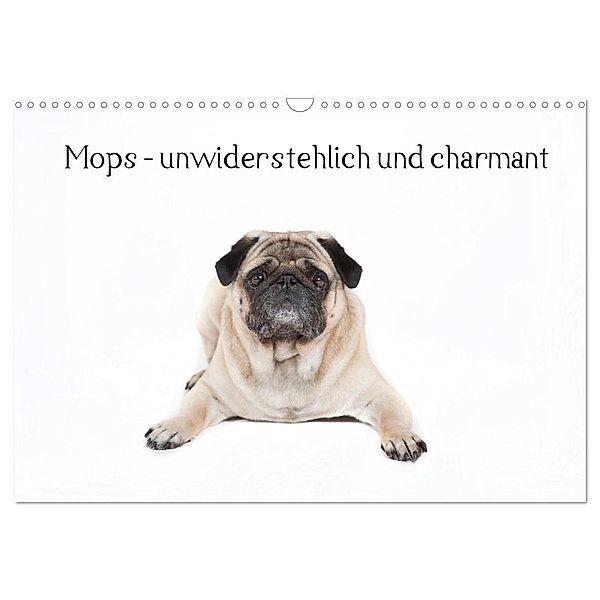 Mops - unwiderstehlich und charmant (Wandkalender 2024 DIN A3 quer), CALVENDO Monatskalender, Fotodesign Verena Scholze