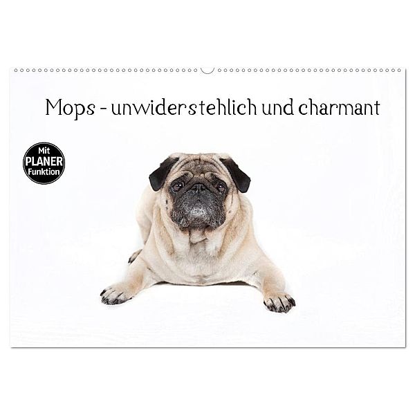 Mops - unwiderstehlich und charmant (Wandkalender 2024 DIN A2 quer), CALVENDO Monatskalender, Fotodesign Verena Scholze