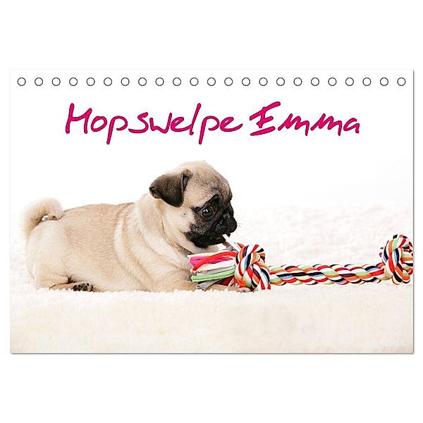 Mopswelpe Emma (Tischkalender 2024 DIN A5 quer), CALVENDO Monatskalender, Sophie Tiller